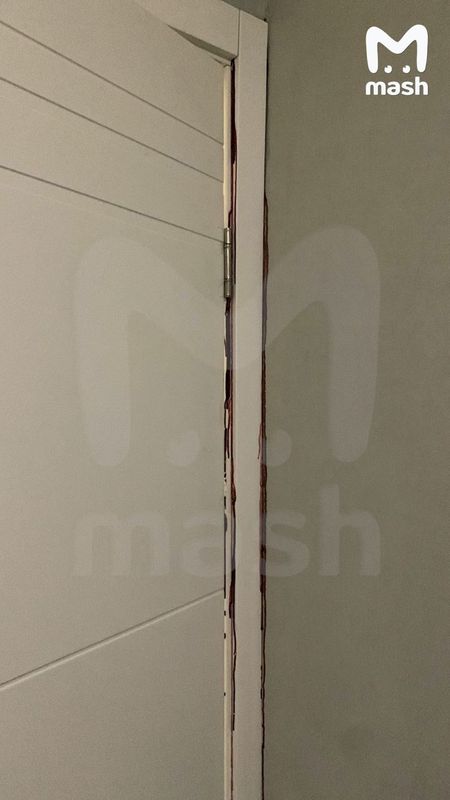 https://static.mash.ru/unsafe/rs:fit:800:800/czM6Ly9tYXNoL2ltYWdlLzIwMjMtMDEtMjQvZDI0MGMxZGEtYTQzMi00N2I4LTllZWQtMDY0NWRjZjIxNmQyLzU2YTUzNTVhLTEwZTQtNTZhMi05MGNkLTE4MmQxMTcyZTA0Yi5qcGc
