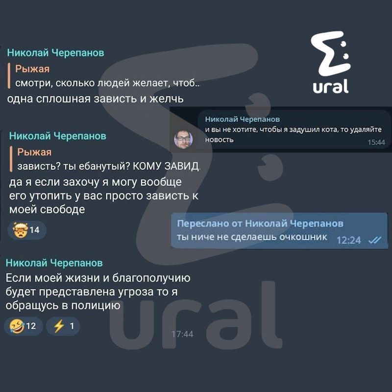 Мужчина из Режа, издевавшийся над котом, обещал задушить питомца, если публикации о нём не удалят