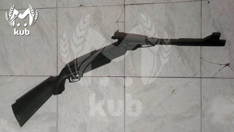 Подросток подстрелил брата-близнеца, спасая домашних кур от соседского пса