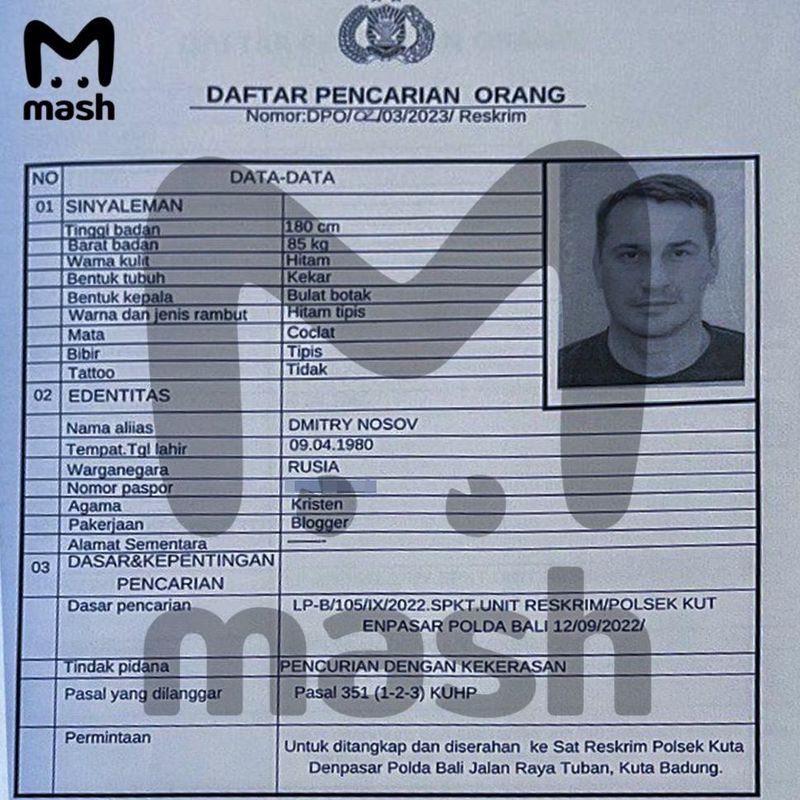 Mash: олимпийца и экс-депутата Госдумы Дмитрия Носова объявили в розыск в Индонезии