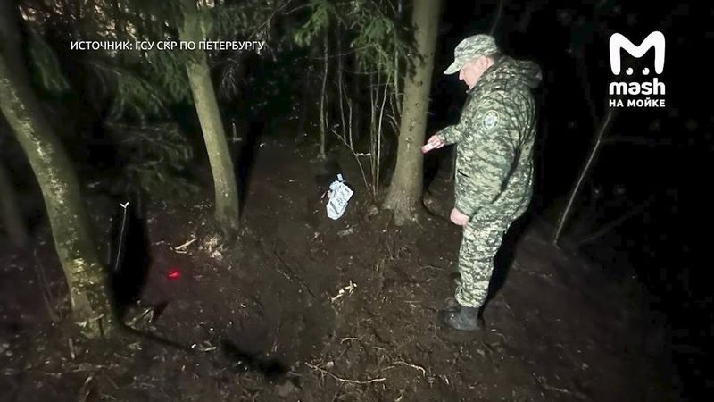 В Петербурге девочку-подростка убили во время интервью в лесу: что известно