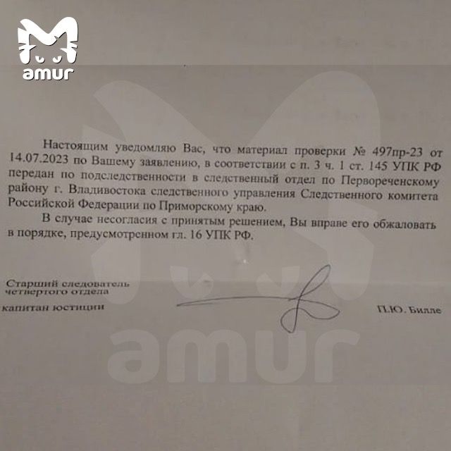 В стендап через постель: три девушки из Владивостока обвиняют худрука в насилии и педофилии