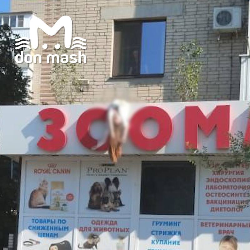 33-летняя психолог выпала с шестого этажа в Азове
