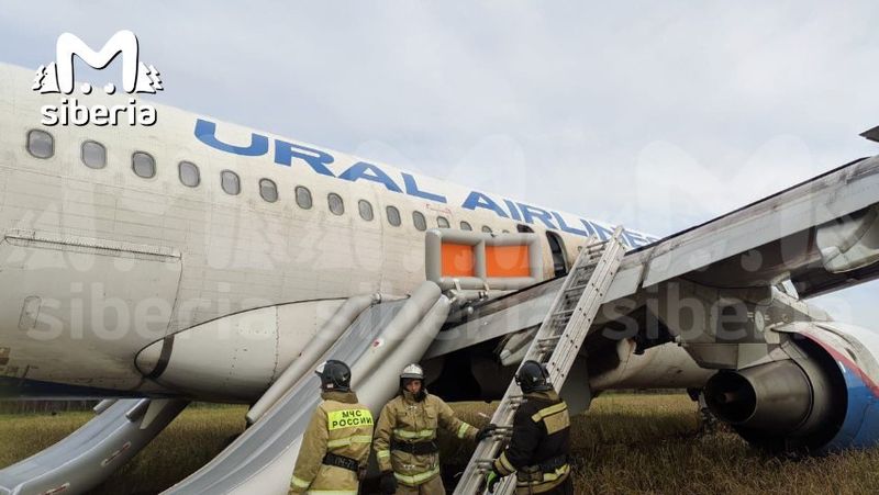 Экстренная посадка Airbus A320 в поле в Новосибирской области: кадры с места и эмоции пассажиров