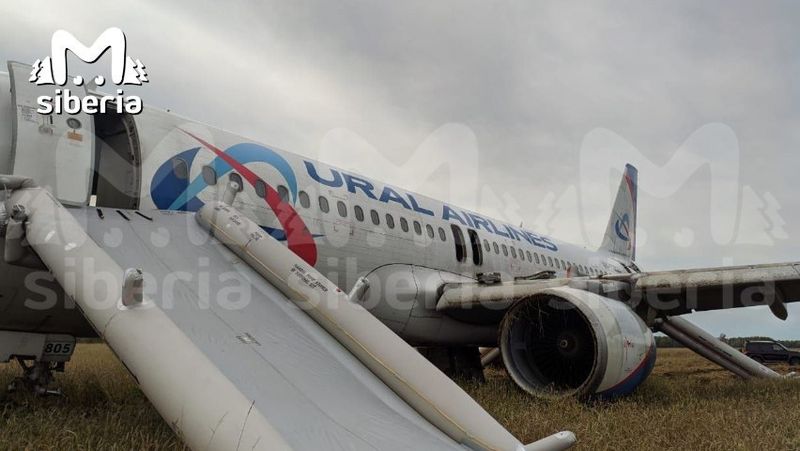 Экстренная посадка Airbus A320 в поле в Новосибирской области: кадры с места и эмоции пассажиров