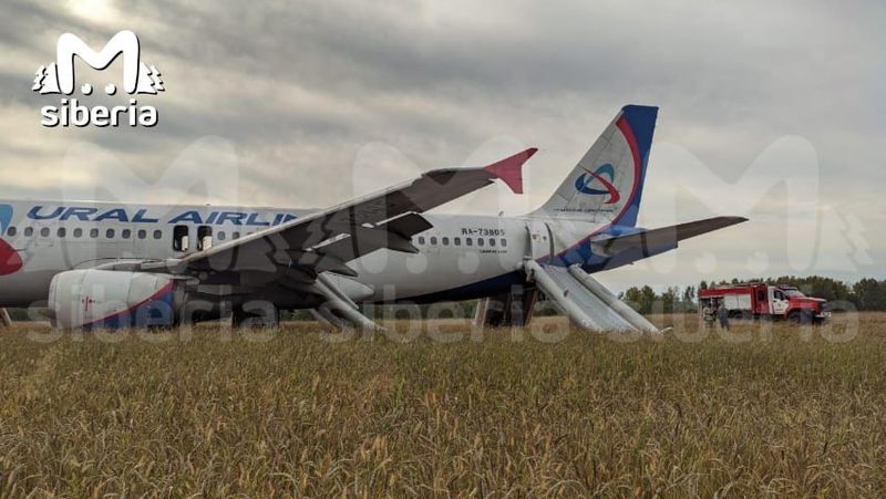 Экстренная посадка Airbus A320 в поле в Новосибирской области: кадры с места и эмоции пассажиров
