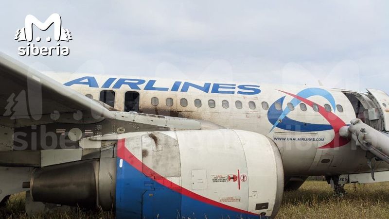 Экстренная посадка Airbus A320 в поле в Новосибирской области: кадры с места и эмоции пассажиров