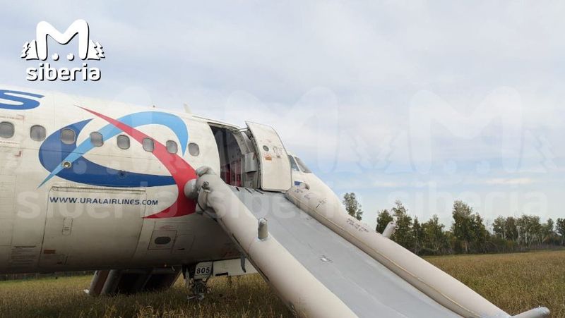 Экстренная посадка Airbus A320 в поле в Новосибирской области: кадры с места и эмоции пассажиров