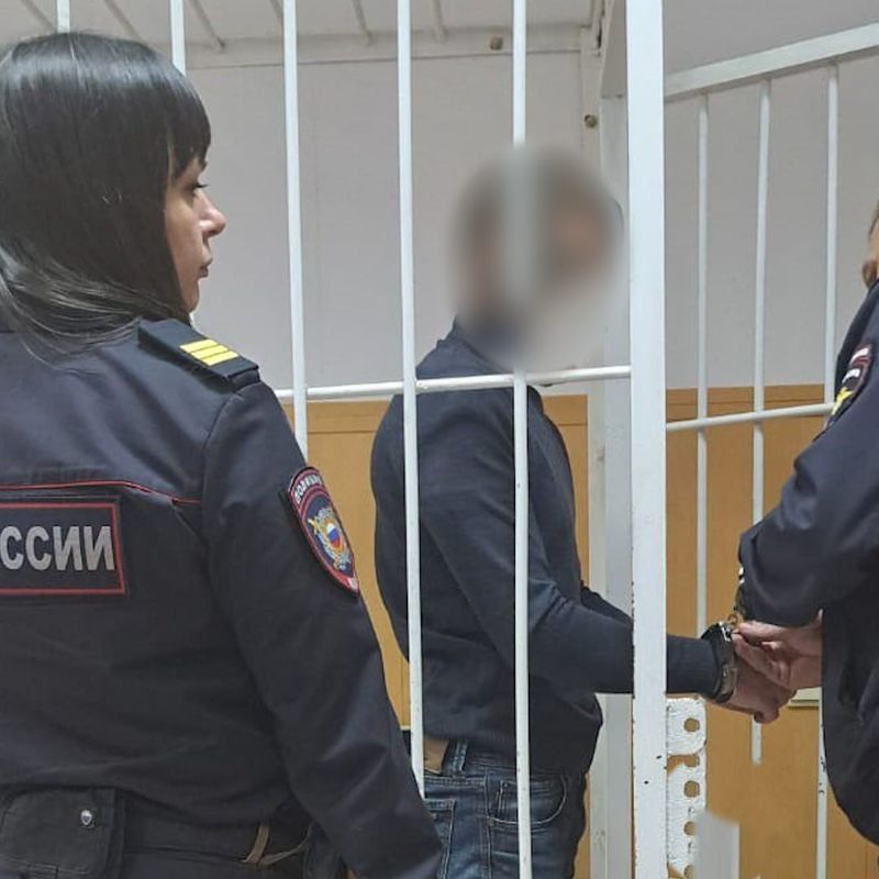 Дмитрия Дорофеева, подозреваемого в истязании детей, отправили под стражу