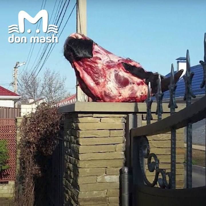 Привет из 90-х: Жизнь и смерть бизнесмена Владимира Борисенко