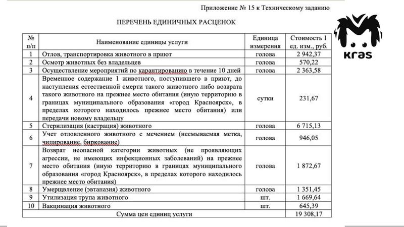 Мэрия Красноярска планирует потратить более 17 млн рублей на отлов собак в черте города