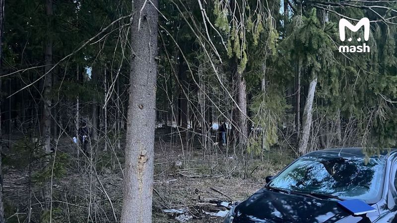 Нападение на полицейских в Подмосковье: что известно