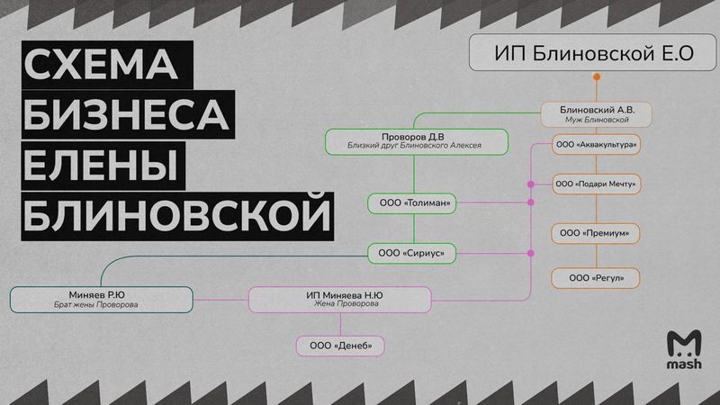 Два десятка ООО и три ИП: появилась схема бизнеса Елены Блиновской