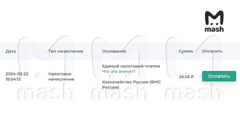 Овечкин погасил долг перед налоговой, но не полностью