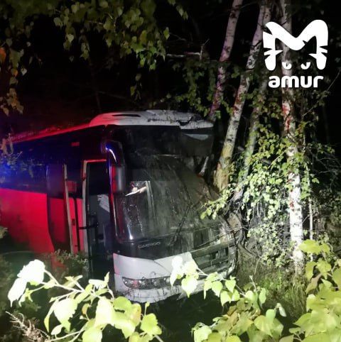 Маршрутный автобус на полном ходу врезался в дерево в Хабаровском крае