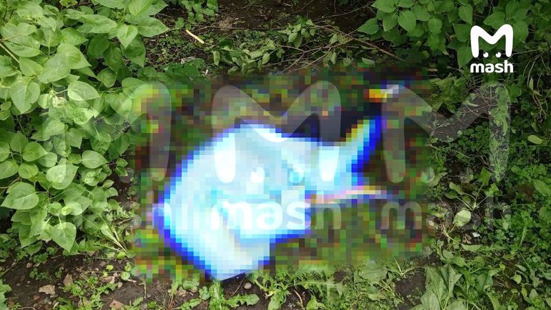 Школьник выпрыгнул из окна многоэтажки в Туле из-за зарядки от телефона