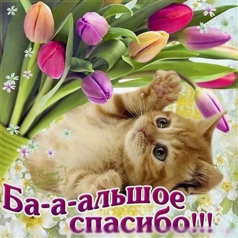 Демократическая музыка США: как нас перевоспитали через поп-культуру