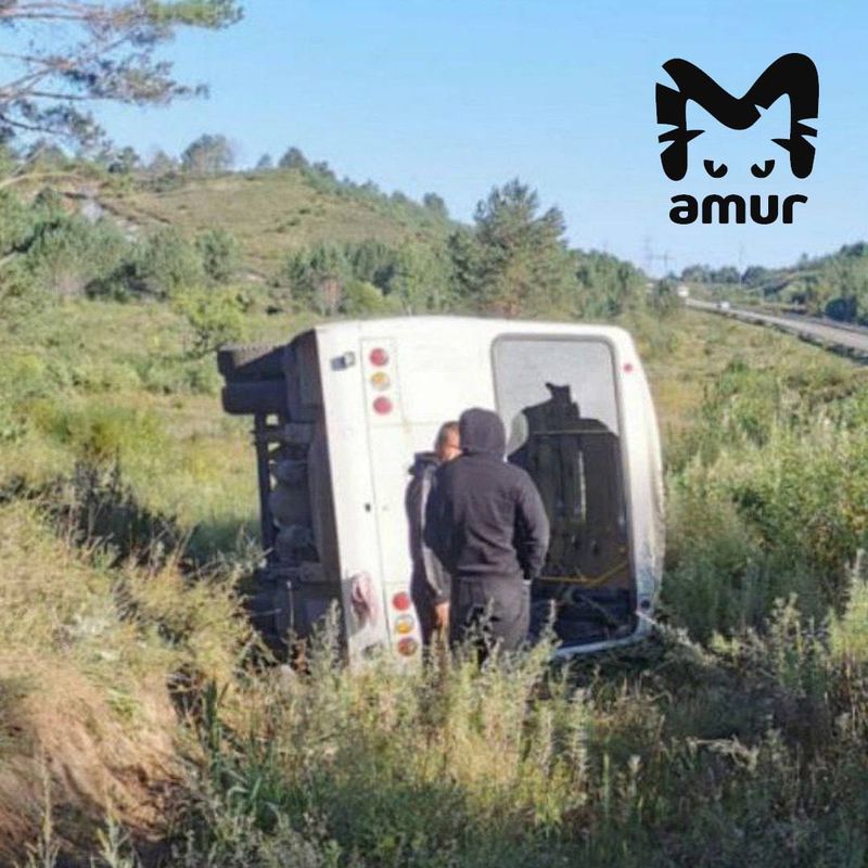 В аварии с автобусом, перевернувшимся в Амурской области, виноват его водитель