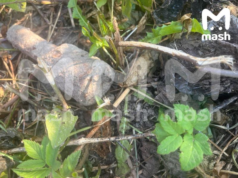 В Подмосковье ребёнок нашёл гранату в кустах и принёс её домой