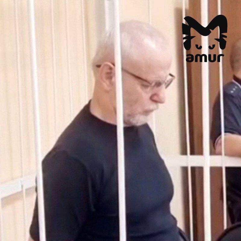 У виновника смертельной аварии в Благовещенске нашли смягчающие обстоятельства