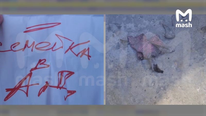 Приёмная семья Дани Милохина решила переехать из Анапы после поджога дома