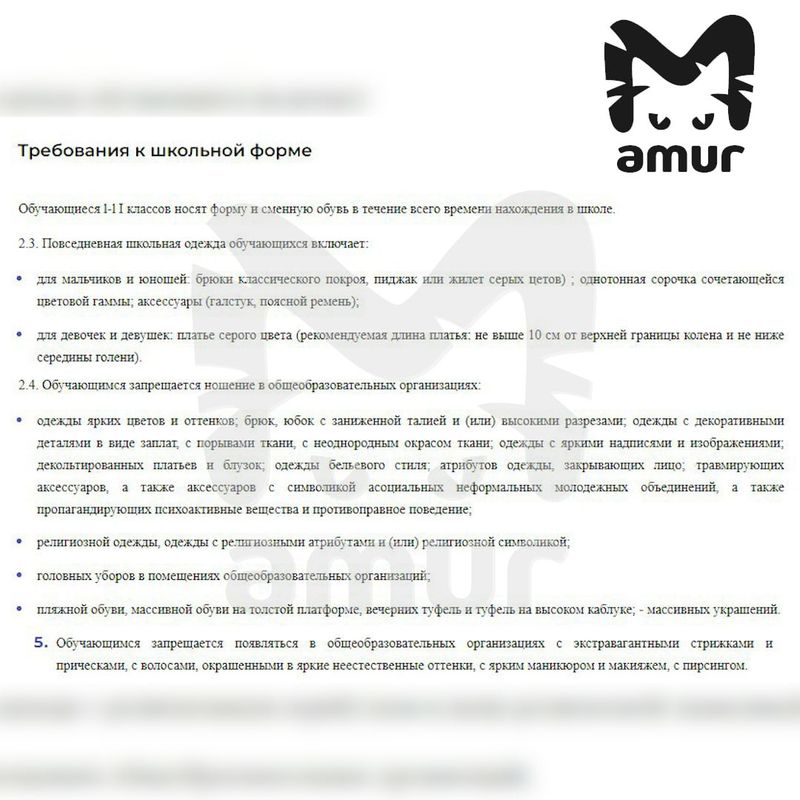 Запрет на брюки и пирсинг выкатила девочкам школа в Приморье