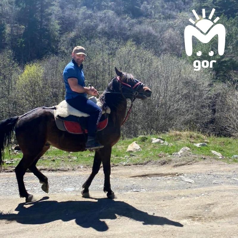 В горах Осетии потерялась женщина из Москвы, её спас местный житель