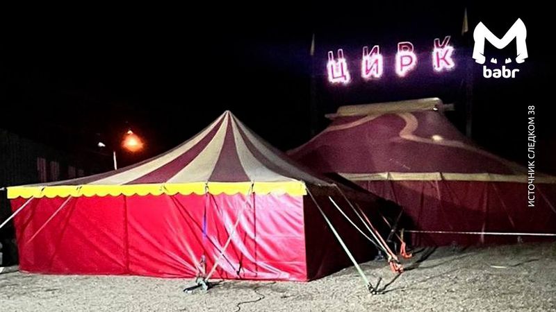 Цирковая пантера напала на трёхлетнего ребёнка в Ангарске
