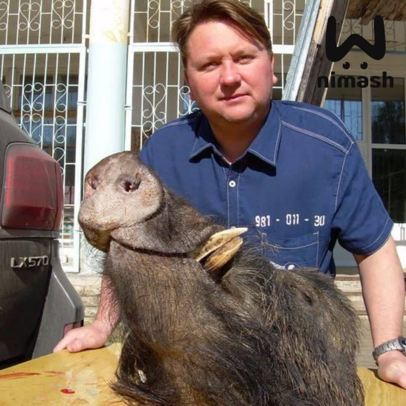 Бывшего заммэра Нижнего арестовали за мошенничество в особо крупных размерах