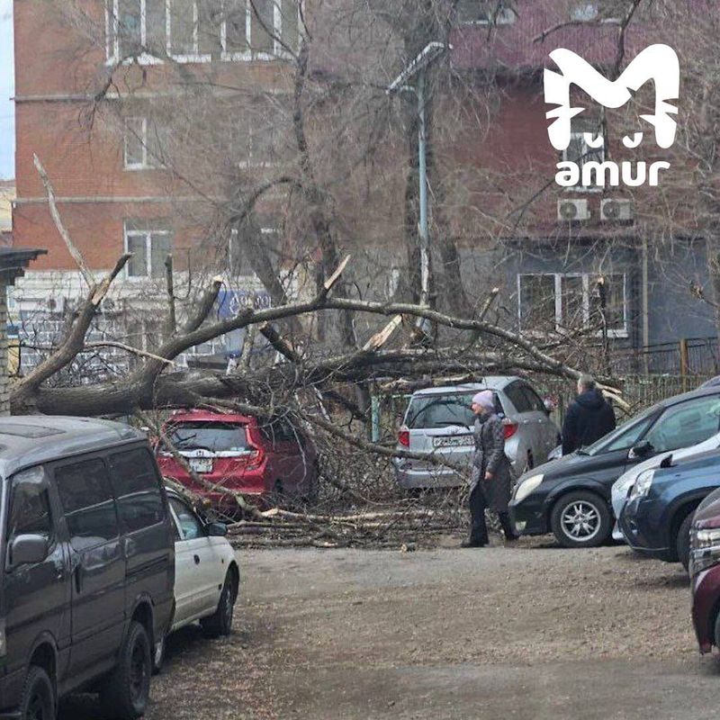 Штормовой ветер бушует во Владивостоке