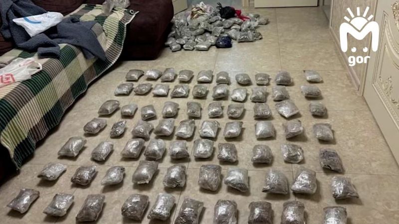 Полицейские из Карачаево-Черкесии изъяли 30 килограммов конопли