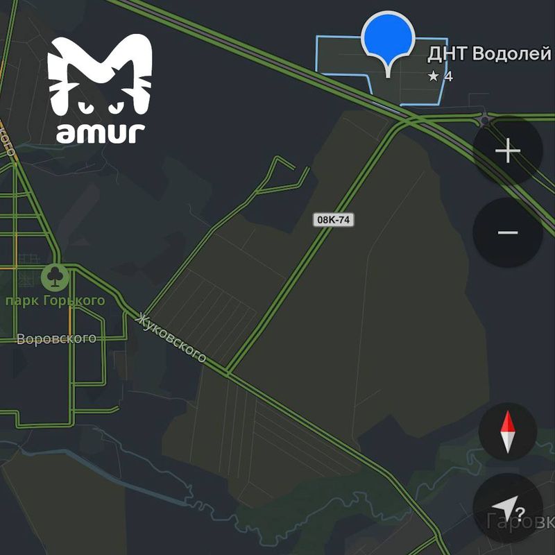 Тигра заметили в паре километров от Хабаровска