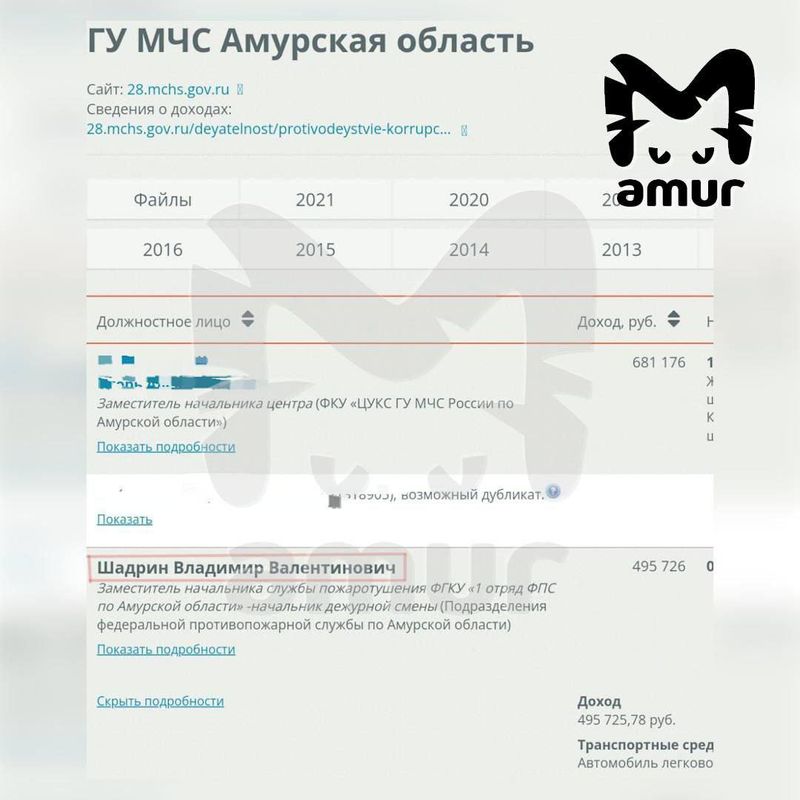 Живодёр прицепил собаку к машине и протащил по дороге в Амурской области