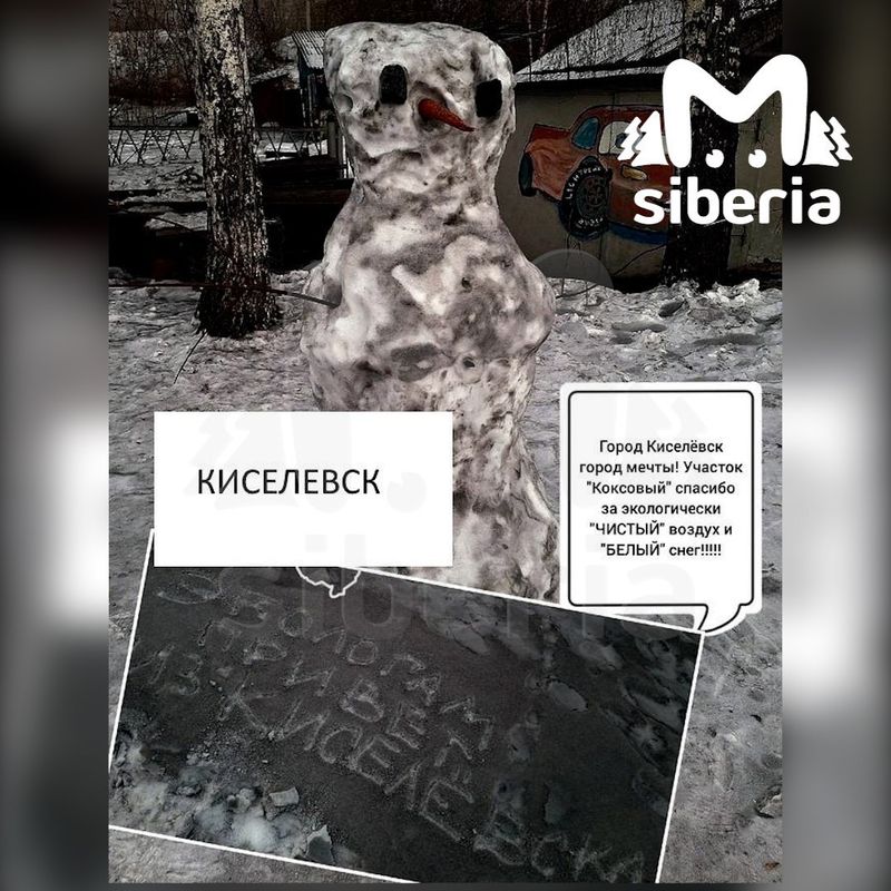 https://static.mash.ru/unsafe/rs:fit:800:800/czM6Ly9tYXNoL2ltYWdlLzIwMjQtMTItMTUvZDI3MjIzYTgtZmIyMi00MmJlLWE0OWMtYjY4MTA5ZDFlMmQ0LmpwZWc