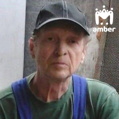 Ещё одного пропавшего мужчину ищут в районе Волошино