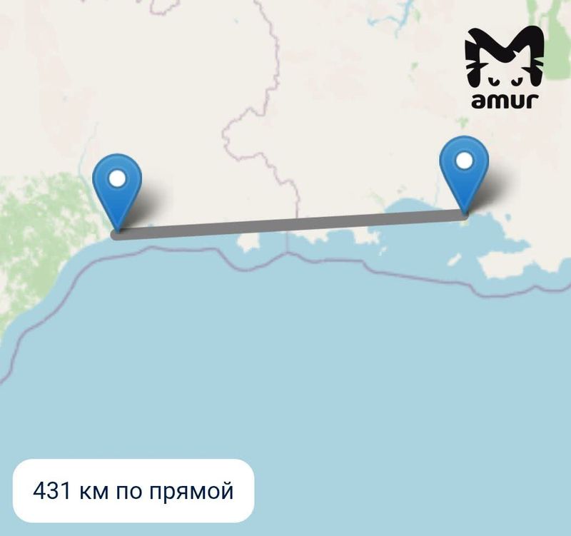 Фото: t.me/amur_mash