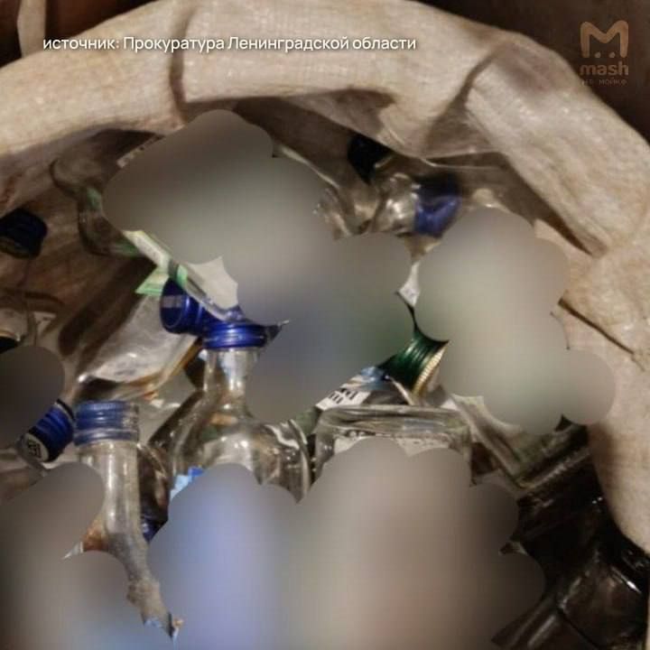 Mash на Мойке — новости СПб
