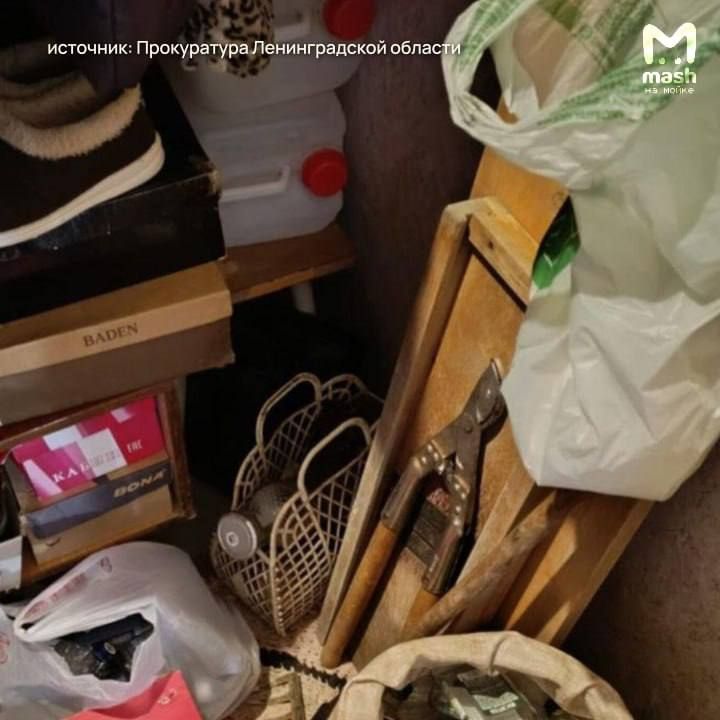 Mash на Мойке — новости СПб