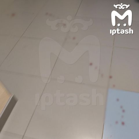 Ученик с ножом напал на школу в Нижнекамске: что известно о происшествии