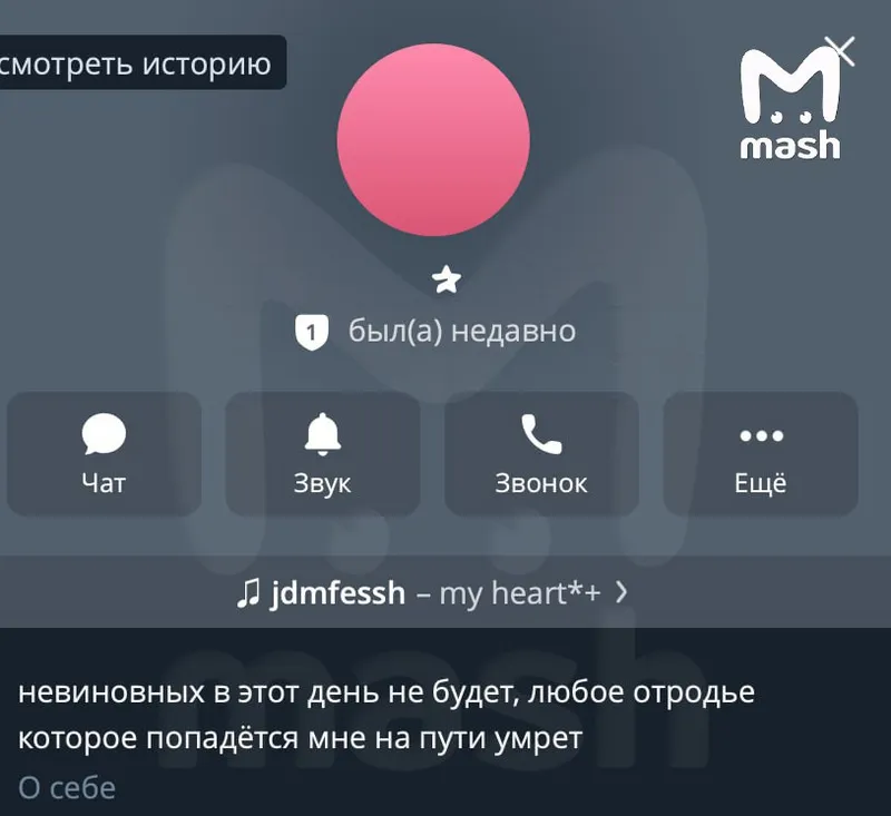 Стрельба в индустриальном техникуме в Анапе: что известно о ЧП, кадры с места