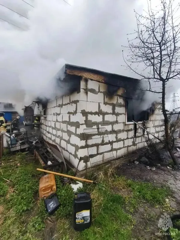 Около 200 чихуахуа погибли в пожаре в Нижнем Новгороде